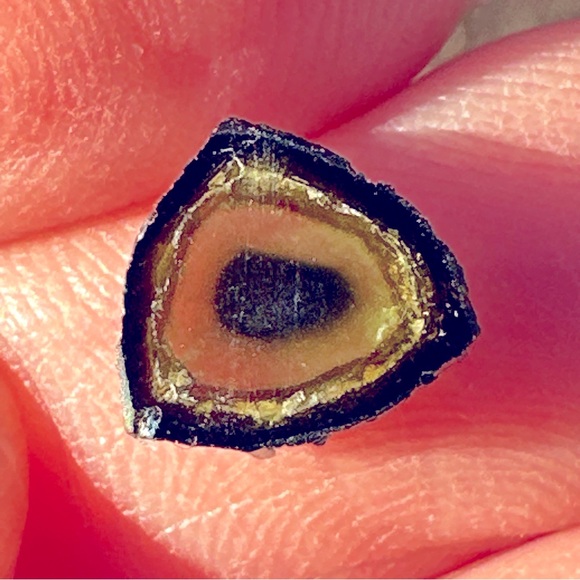 1.80 Carats Mixed Color Polished Tourmalines Slices - Picture 9 of 17